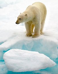 Svalbard Archipelego
 Hero