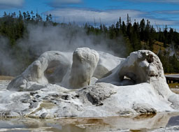 Yellowstone NP
 Hero