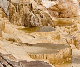 Yellowstone NP
 Hero