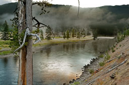 Yellowstone NP
 Hero